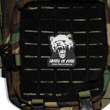 Load image into Gallery viewer, Liberty Or Death Fight Like Hell PVC Patch